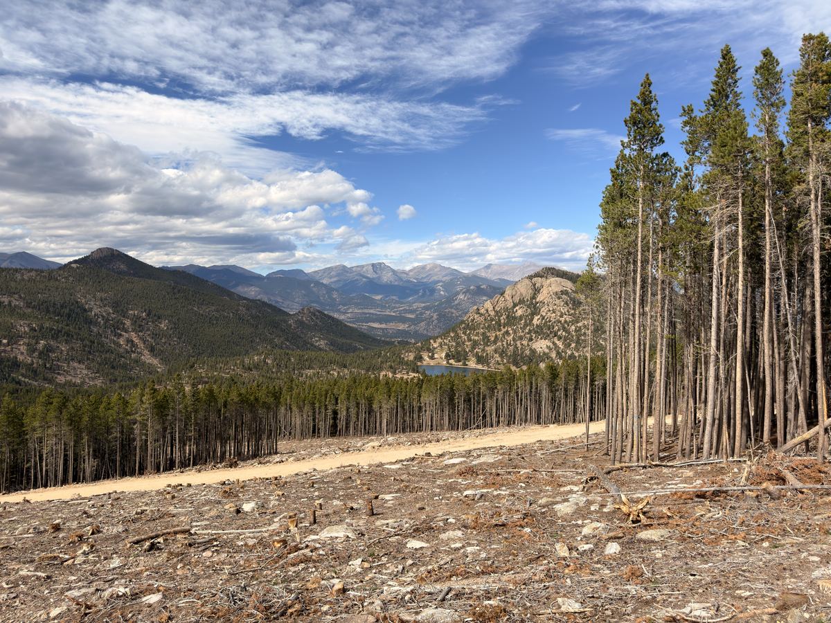 Panoramic view of Rocky Mountain National Park and Lilly Lake from the fire mitigation clearing